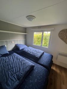 een slaapkamer met 2 bedden en een raam bij RBR 1023 - Beach Resort Kamperland in Kamperland