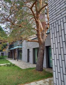 ein Baum vor einem Gebäude mit einem Gebäude in der Unterkunft ApartamentFortuna1 in Palanga