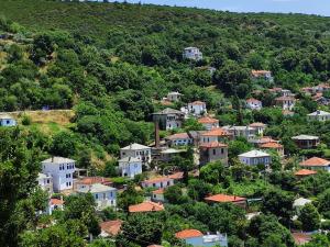 Táj Show holiday homes közelében