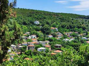Táj Show holiday homes közelében