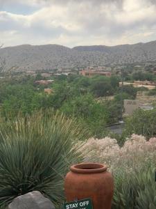 un vase en argile assis dans un champ de plantes dans l'établissement Quality Inn Rio Rancho, à Rio Rancho