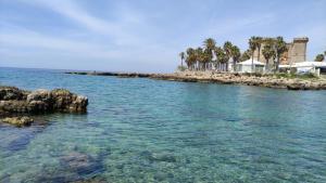 a view of a body of water with palm trees at 4sisters' Open Space in Aradeo