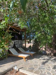 a table and two lounge chairs under a tree at - Magic Bus - in Khlorakas