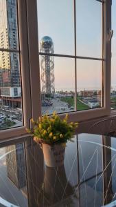ein Fenster mit einer Topfpflanze auf einer Fensterscheibe mit Aussicht in der Unterkunft Modern apartment in Batumi