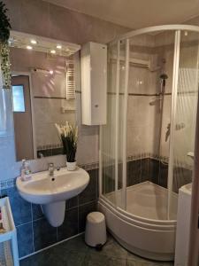 y baño con lavabo y ducha. en APARTAMENT zielona Retkinia - blisko ZOO, Atlas Arena, Mandoria, S14, Lotnisko en Lodz