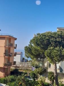 a large tree in front of a building at Hotel Rosalia in Bordighera