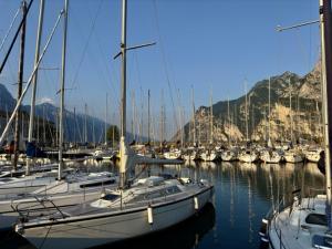 Ein paar Boote sind in einem Hafen angedockt. in der Unterkunft Alloggio Turistico MOLU in Gavazzo Nuova