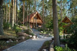 a log cabin in the woods with a walkway at Osada Swory domki w lesie nad jeziorem in Małe Swornegacie