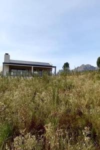 a house in the middle of a field of grass at Sneeukop Mountain Cottage in Paarl