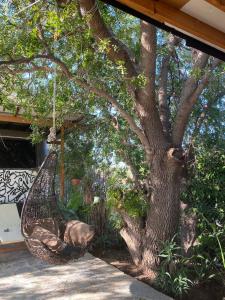 a hammock hanging from a tree in a yard at - Magic Bus - in Chlorakas