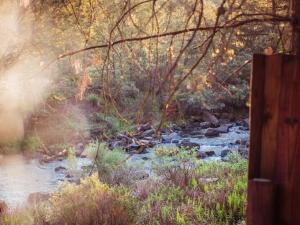 a river in the middle of a forest at Zwakala River Retreat in Haenertsburg