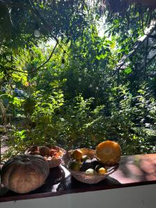 卡維塔的住宿－Orgánico Punta Riel，窗前桌子上两篮水果