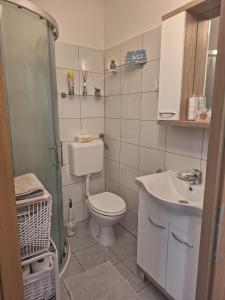 Baño pequeño con aseo y lavamanos en Apartma Pingo, en Koper