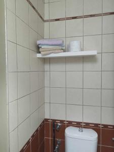 uma casa de banho com WC e toalhas numa prateleira em short stay loft at Thessaloniki em Tessalônica