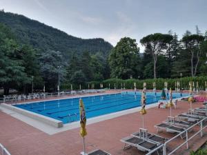 une grande piscine avec chaises longues et sidx sidx sidx dans l'établissement La Capanna, à Marradi