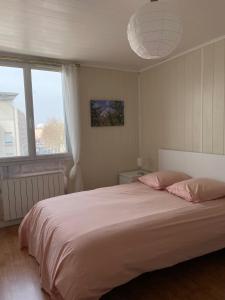布龍的住宿－Le Parilly- Appartement 3 chambres-Parc Parilly，一间卧室设有一张大床和一个大窗户