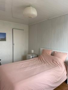 布龍的住宿－Le Parilly- Appartement 3 chambres-Parc Parilly，一间卧室配有带粉色床单和台灯的床