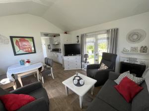 een woonkamer met een bank en stoelen en een tv bij Zandput 490 - Camping de Zandput in Vrouwenpolder