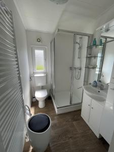 een badkamer met een douche, een toilet en een wastafel bij Zandput 490 - Camping de Zandput in Vrouwenpolder