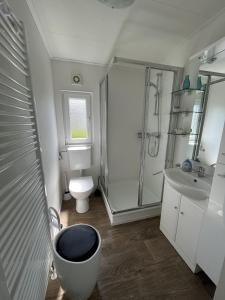 a bathroom with a shower and a toilet and a sink at Zandput 490 - Camping de Zandput in Vrouwenpolder