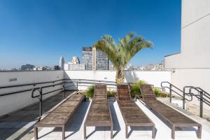 a row of benches on a roof with a palm tree at Rover 1011 Centro in Sao Paulo