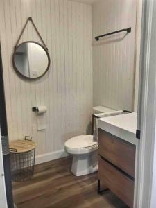 a bathroom with a toilet and a sink and a mirror at Chez Dorance in Saint-Gabriel