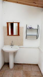 a bathroom with a sink and a mirror at La Pendule d'Argent in Salazie