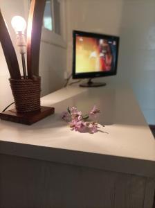 a desk with a television and a flower on it at La Pendule d'Argent in Salazie