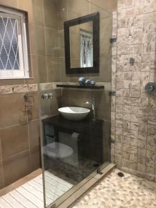 La salle de bains est pourvue d'une douche en verre et d'un lavabo. dans l'établissement St John`s Guest House, à Pietermaritzburg