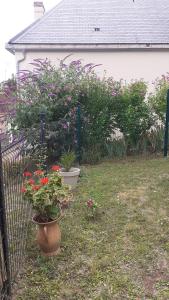 Zahrada ubytování Gite des Belles Fontaines