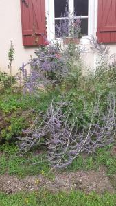 Zahrada ubytování Gite des Belles Fontaines