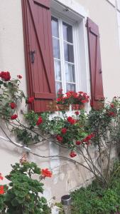 Zahrada ubytování Gite des Belles Fontaines