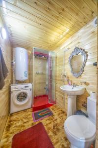 ein Badezimmer mit einem Waschbecken und einer Waschmaschine in der Unterkunft Forest House in Dandalo