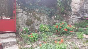 Zahrada ubytování Gite des Belles Fontaines