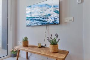 a tv hanging on a wall with two plants on a table at Angelica's Home Fuengirola in Fuengirola