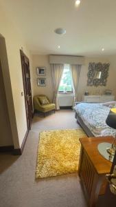een slaapkamer met een bed, een bureau en een tapijt bij Errew Lodge in Mohill