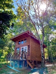 uma cabana de madeira na floresta com uma árvore em Blusky Lodge em Puerto Iguazú