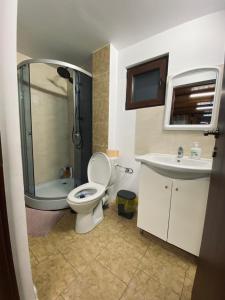 ein Badezimmer mit Toilette und Waschbecken in der Unterkunft Cabana cu Mesteceni in Sighetu Marmaţiei