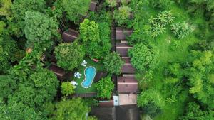 an overhead view of a park with a pool in the middle of a forest at Khao Sok Cabana Resort in Khao Sok