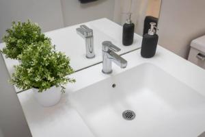 a bathroom sink with a plant and a faucet at Work From home with Parking WIFI and CN Tower View in Toronto +40 photos