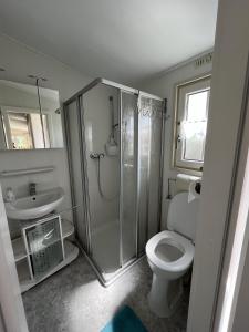 een badkamer met een douche, een toilet en een wastafel bij ZP 470 - Camping de Zandput in Vrouwenpolder