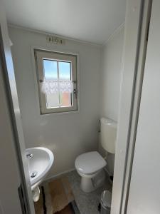 een badkamer met een toilet, een wastafel en een raam bij ZP 470 - Camping de Zandput in Vrouwenpolder