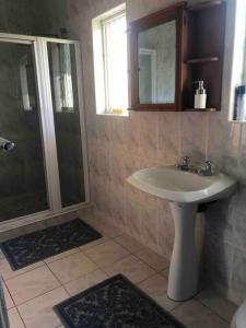 uma casa de banho com um lavatório e um chuveiro em Self-catering two-bedroom flat Scottsville PMB em Pietermaritzburg