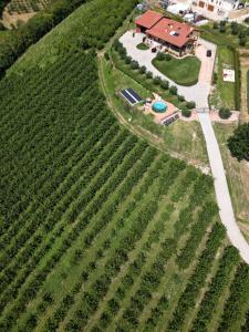 an aerial view of a house with a field of crops at La Collina dei Ciliegi in San Mauro di Saline