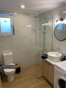 a bathroom with a shower and a toilet and a sink at Thalassa Grammeno seaview house in Palaiochóra