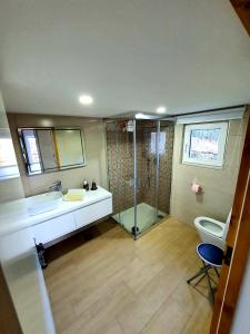 uma casa de banho com um chuveiro, um lavatório e um WC. em A CASINHA DO CARREIRAS em Barroselas