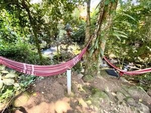 Um jardim em Casa Selva - Vila do Abraão - Ilha grande