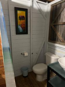 a bathroom with a toilet and a painting on the wall at Sunrise Cottage in Fajardo