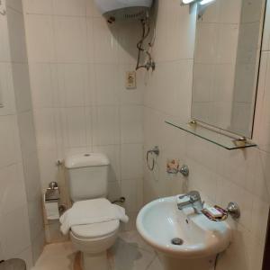 La petite salle de bains est pourvue de toilettes et d'un lavabo. dans l'établissement نادى البحارة الدولى بالسويس, à Suez