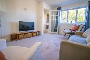 sala de estar con TV de pantalla plana y sofá en Rosemary Cottage Camber Sands - 1 min to beach en Camber